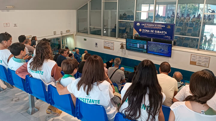 Visitas al Puerto Pesquero y Lonja de Bonanza