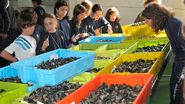 Visites a Ports i Llotges4
