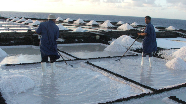 Visites a Salineres <br>i Conserveres9